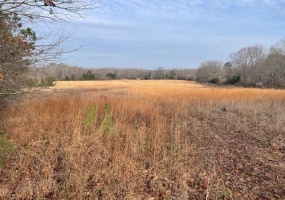 REAVES RD, Middleton, Tennessee 38052, ,Land,For Sale,REAVES,10155761
