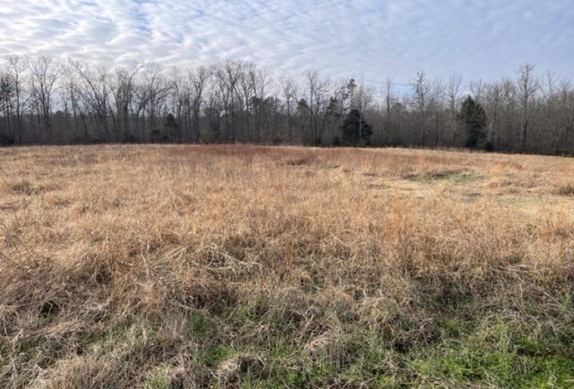 REAVES RD, Middleton, Tennessee 38052, ,Land,For Sale,REAVES,10155761