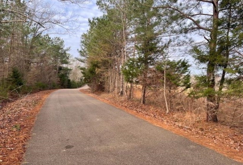REAVES RD, Middleton, Tennessee 38052, ,Land,For Sale,REAVES,10155761