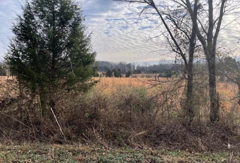 REAVES RD, Middleton, Tennessee 38052, ,Land,For Sale,REAVES,10155761