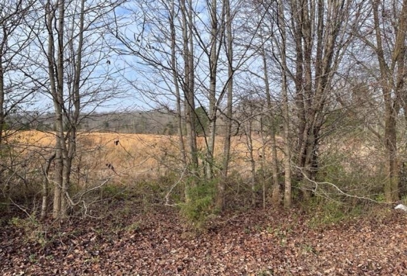 REAVES RD, Middleton, Tennessee 38052, ,Land,For Sale,REAVES,10155761