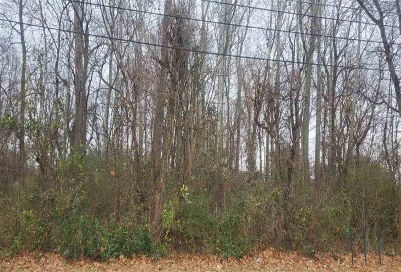 3429 RANGE LINE RD, Memphis, Tennessee 38127, ,Land,For Sale,RANGE LINE,10157085