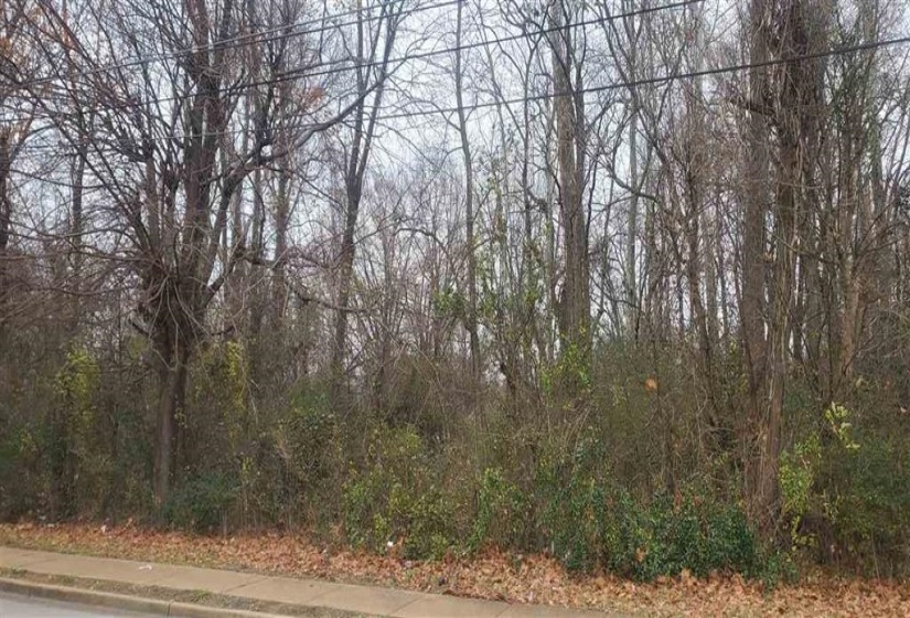 3429 RANGE LINE RD, Memphis, Tennessee 38127, ,Land,For Sale,RANGE LINE,10157085