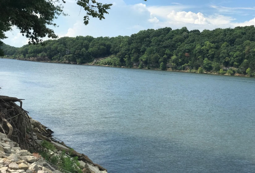 176 BF TERRY CIR, Savannah, Tennessee 38372, ,Land,For Sale,BF TERRY,10158108