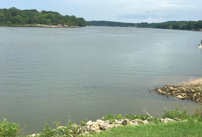 176 BF TERRY CIR, Savannah, Tennessee 38372, ,Land,For Sale,BF TERRY,10158108