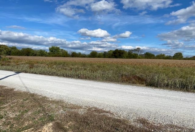 1929 HARDIN BOTTOM RIVER RD, Bath Springs, Tennessee 38311, ,Land,For Sale,HARDIN BOTTOM RIVER,10159099