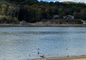 1929 HARDIN BOTTOM RIVER RD, Bath Springs, Tennessee 38311, ,Land,For Sale,HARDIN BOTTOM RIVER,10159099 1929 HARDIN BOTTOM RIVER RD, Bath Springs, Tennessee 38311, ,Land,For Sale,HARDIN BOTTOM RIVER,10159099