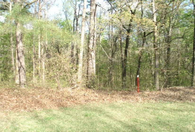 505A BRIAR CREEK RD, Counce, Tennessee 38326, ,Land,For Sale,BRIAR CREEK,9999113