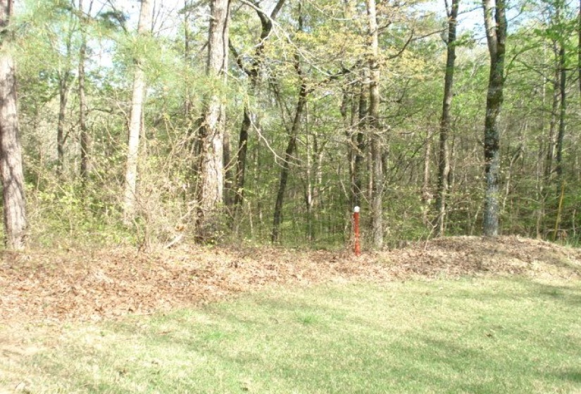 505A BRIAR CREEK RD, Counce, Tennessee 38326, ,Land,For Sale,BRIAR CREEK,9999113