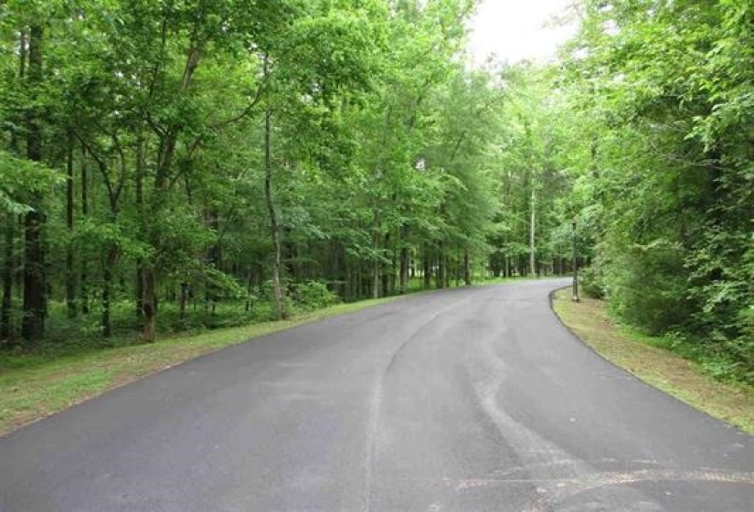 0 CHELSEA MEADOW LOT 44 CV, Unincorporated, Tennessee 38028, ,Land,For Sale,CHELSEA MEADOW LOT 44,10005860
