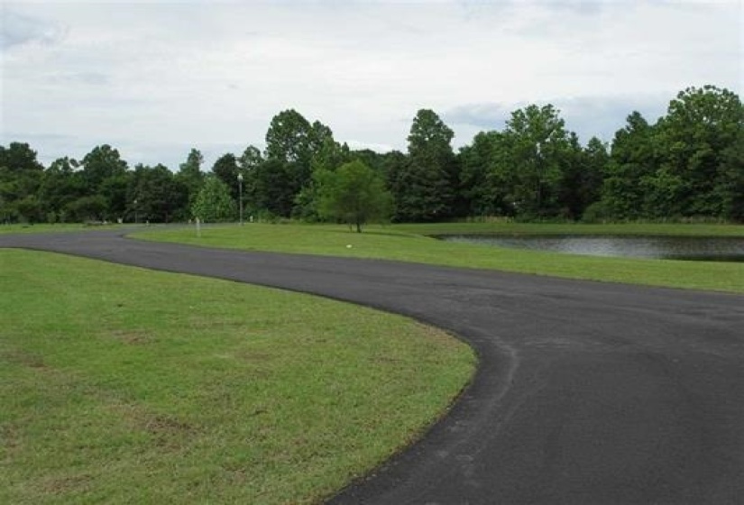 0 CHELSEA MEADOW LOT 44 CV, Unincorporated, Tennessee 38028, ,Land,For Sale,CHELSEA MEADOW LOT 44,10005860