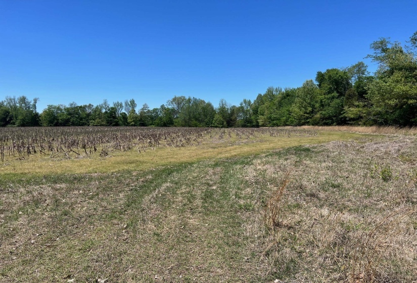 27 ACRES SYCAMORE RD, Collierville, Tennessee 38017, ,Land,For Sale,SYCAMORE,10160007