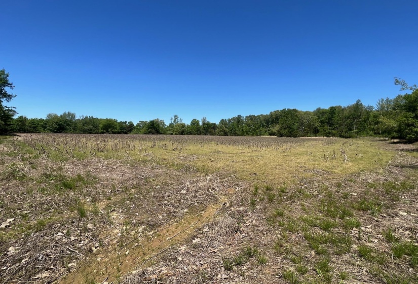 27 ACRES SYCAMORE RD, Collierville, Tennessee 38017, ,Land,For Sale,SYCAMORE,10160007