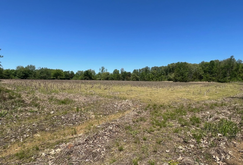 27 ACRES SYCAMORE RD, Collierville, Tennessee 38017, ,Land,For Sale,SYCAMORE,10160007
