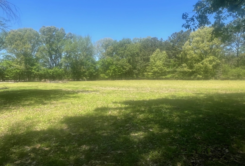 27 ACRES SYCAMORE RD, Collierville, Tennessee 38017, ,Land,For Sale,SYCAMORE,10160007
