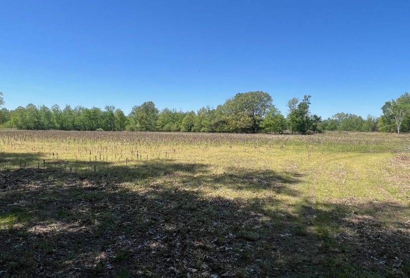 27 ACRES SYCAMORE RD, Collierville, Tennessee 38017, ,Land,For Sale,SYCAMORE,10160007