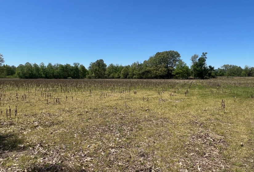 27 ACRES SYCAMORE RD, Collierville, Tennessee 38017, ,Land,For Sale,SYCAMORE,10160007