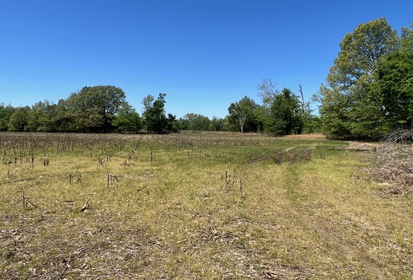 27 ACRES SYCAMORE RD, Collierville, Tennessee 38017, ,Land,For Sale,SYCAMORE,10160007