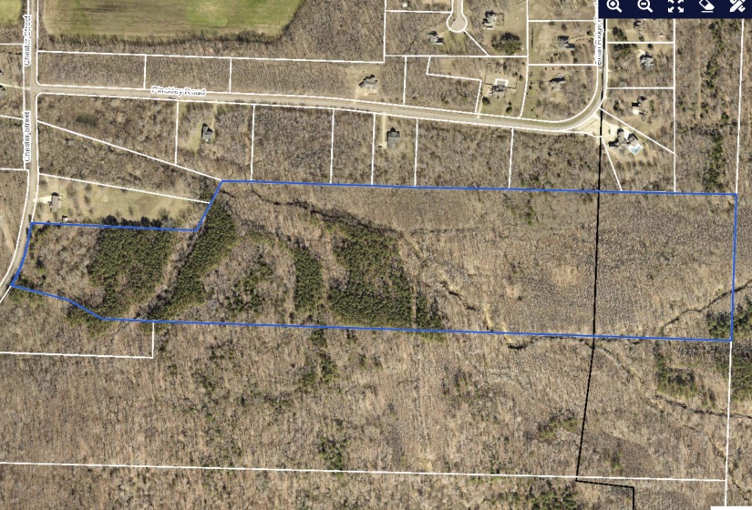 CHESTER ST, Arlington, Tennessee 38002, ,Land,For Sale,CHESTER,10160088