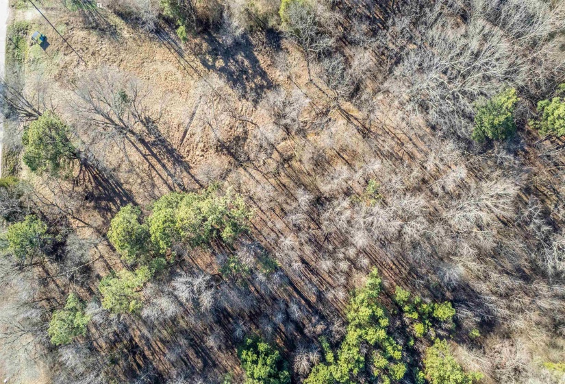 10972 US 64 HWY, Arlington, Tennessee 38002, ,Land,For Sale,US 64,10140153