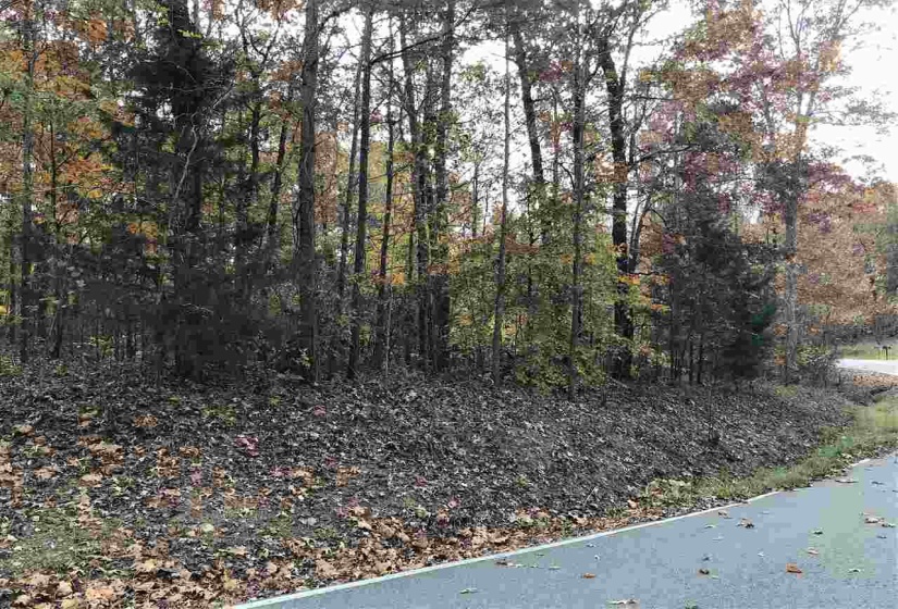 20 COUNTRY WOODS DR, Selmer, Tennessee 38375, ,Land,For Sale,COUNTRY WOODS,10112825