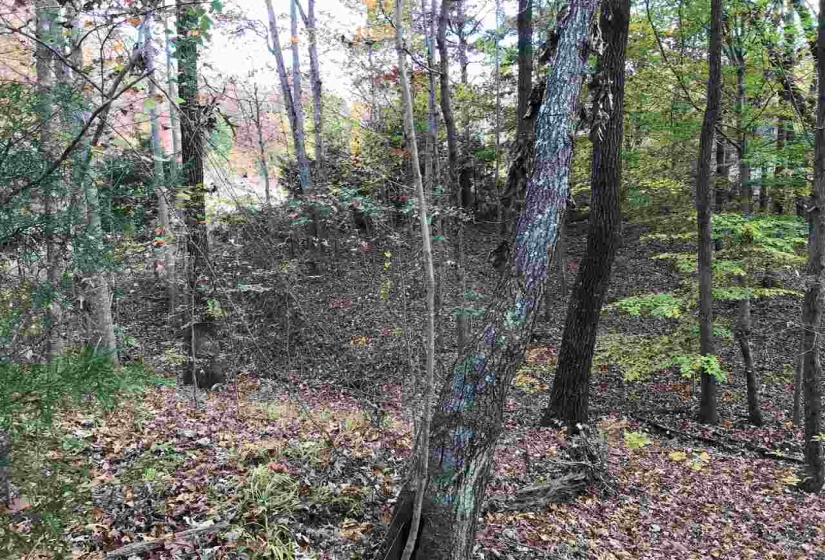 20 COUNTRY WOODS DR, Selmer, Tennessee 38375, ,Land,For Sale,COUNTRY WOODS,10112825