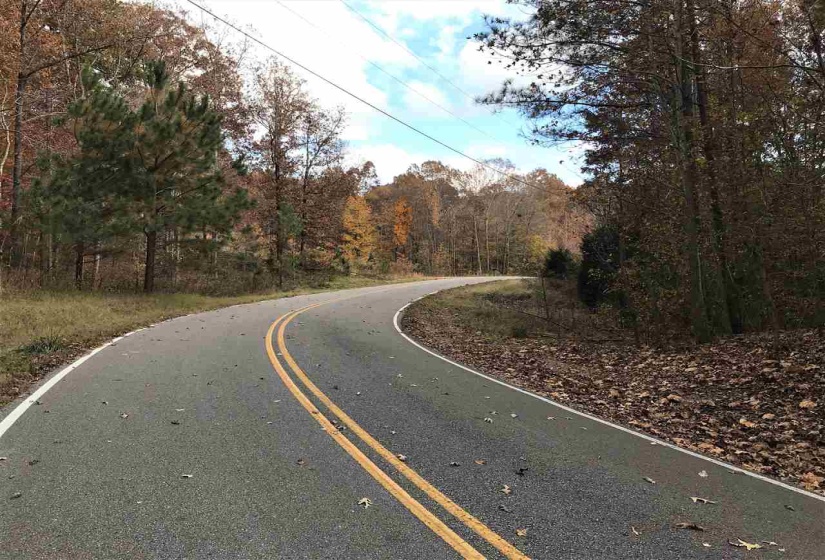 20 COUNTRY WOODS DR, Selmer, Tennessee 38375, ,Land,For Sale,COUNTRY WOODS,10112825