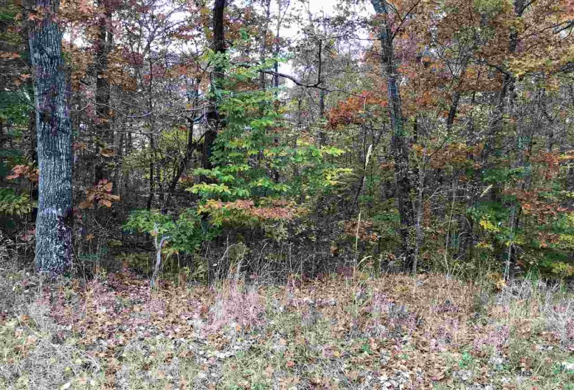 4 COUNTRY WOODS DR, Selmer, Tennessee 38375, ,Land,For Sale,COUNTRY WOODS,10112829