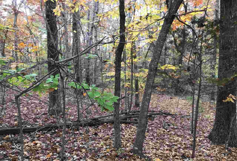 4 COUNTRY WOODS DR, Selmer, Tennessee 38375, ,Land,For Sale,COUNTRY WOODS,10112829