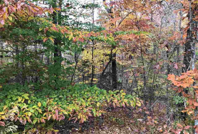 4 COUNTRY WOODS DR, Selmer, Tennessee 38375, ,Land,For Sale,COUNTRY WOODS,10112829
