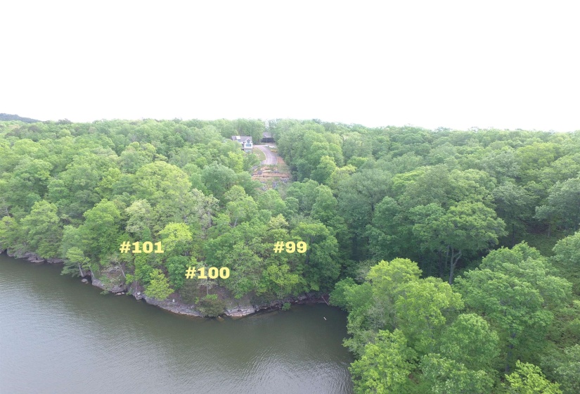 LOT 99 GENTLE RIDGE WAY, Savannah, Tennessee 38372, ,Land,For Sale,GENTLE RIDGE,10162795