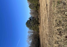 0 HACKS CROSS RD, Memphis, Tennessee 38125, ,Land,For Sale,HACKS CROSS,10163828