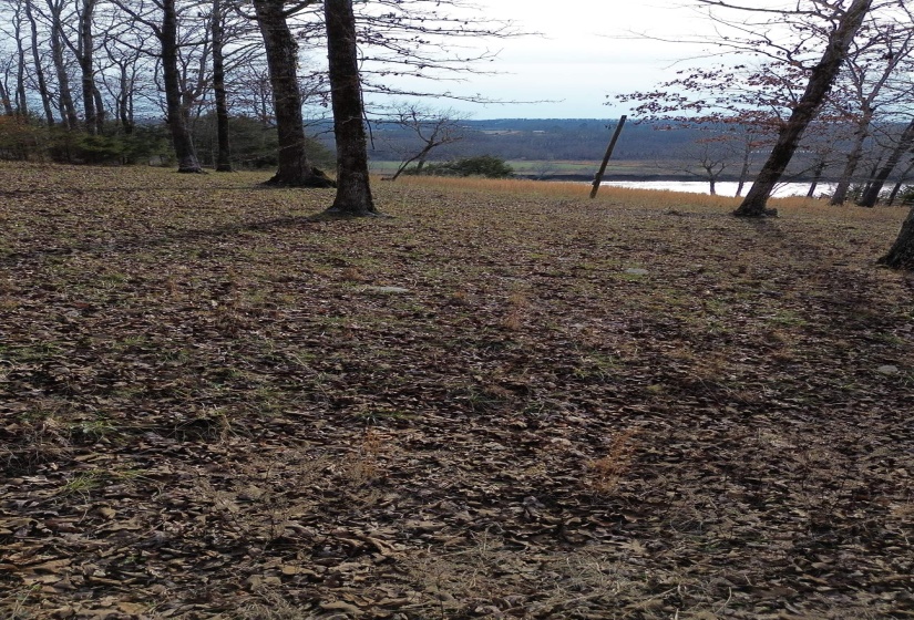 763 PURDY VIEW ACRES DR, Bath Springs, Tennessee 38311, ,Land,For Sale,PURDY VIEW ACRES,10165219