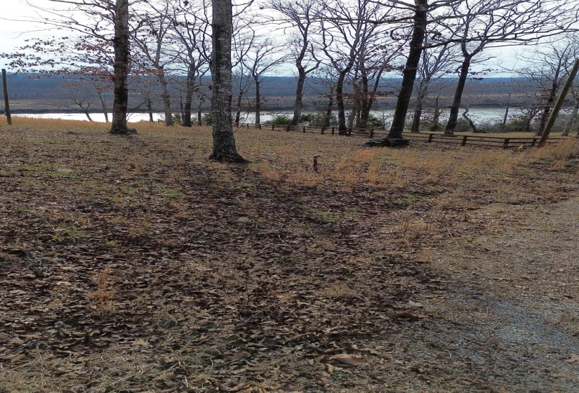 763 PURDY VIEW ACRES DR, Bath Springs, Tennessee 38311, ,Land,For Sale,PURDY VIEW ACRES,10165219
