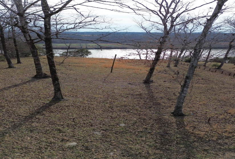 763 PURDY VIEW ACRES DR, Bath Springs, Tennessee 38311, ,Land,For Sale,PURDY VIEW ACRES,10165219