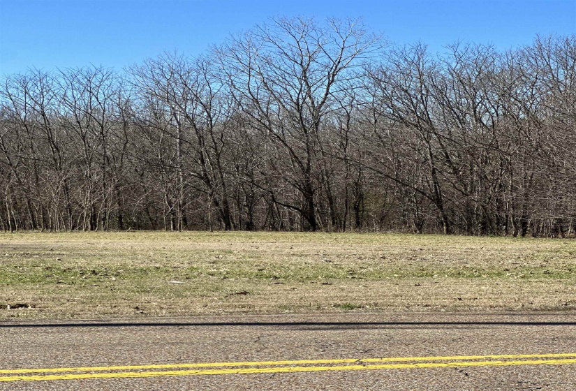 3989 CANADA RD, Lakeland, Tennessee 38002, ,Land,For Sale,CANADA,10165440