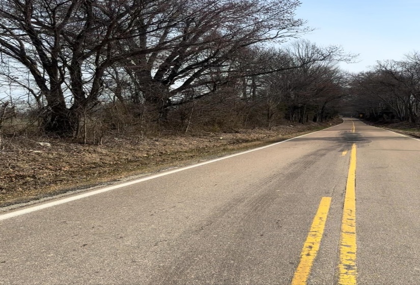 View of road frontage