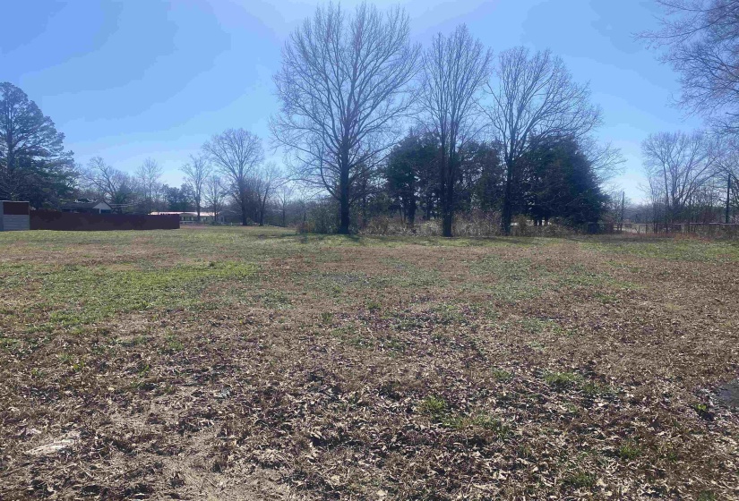 150 EUREKA ST, Savannah, Tennessee 38372, ,Land,For Sale,EUREKA,10165869