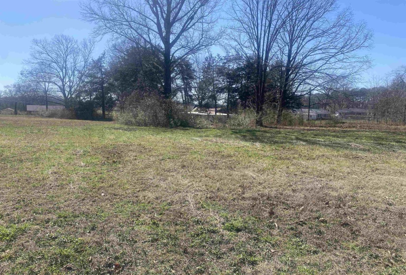 150 EUREKA ST, Savannah, Tennessee 38372, ,Land,For Sale,EUREKA,10165869