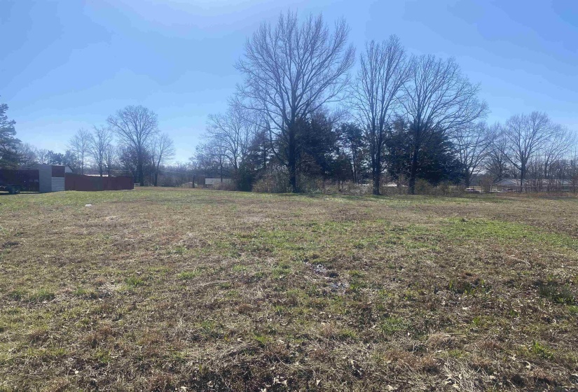 150 EUREKA ST, Savannah, Tennessee 38372, ,Land,For Sale,EUREKA,10165869