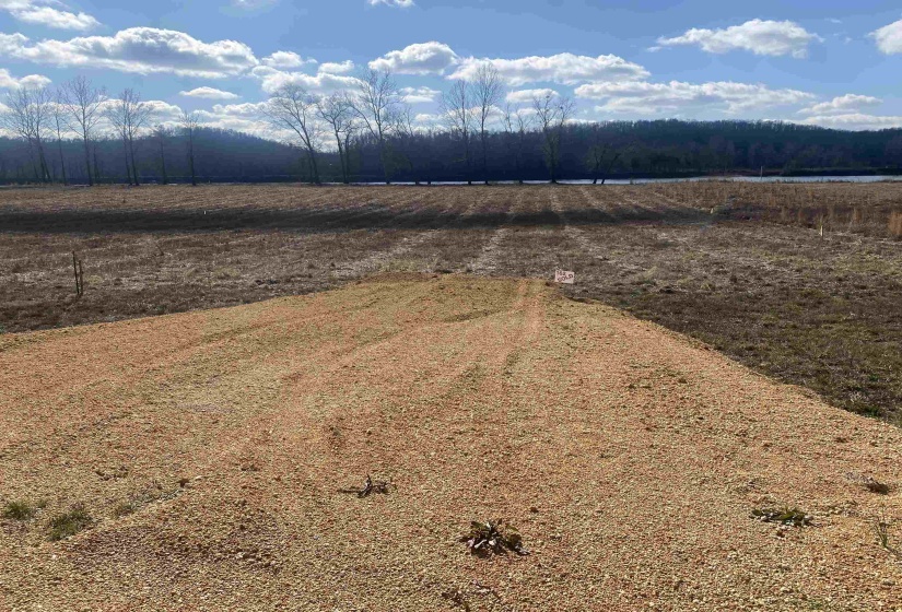 000 HARDIN BOTTOM RIVER RD, Clifton, Tennessee 38425-9999, ,Land,For Sale,HARDIN BOTTOM RIVER,10166557