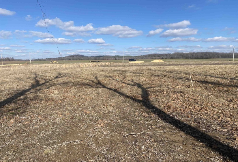 000 HARDIN BOTTOM RIVER RD, Clifton, Tennessee 38425-9999, ,Land,For Sale,HARDIN BOTTOM RIVER,10166557