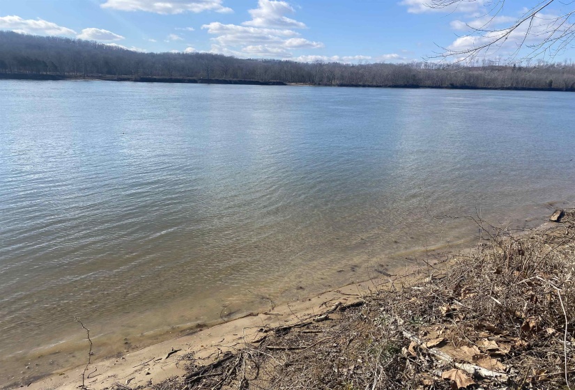 000 HARDIN BOTTOM RIVER RD, Clifton, Tennessee 38425-9999, ,Land,For Sale,HARDIN BOTTOM RIVER,10166557