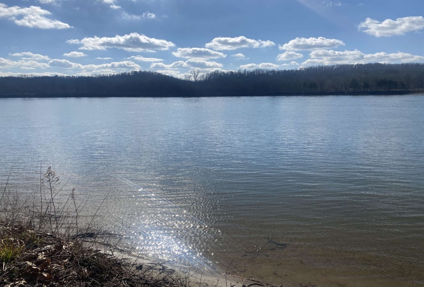 000 HARDIN BOTTOM RIVER RD, Clifton, Tennessee 38425-9999, ,Land,For Sale,HARDIN BOTTOM RIVER,10166557
