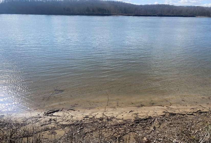 000 HARDIN BOTTOM RIVER RD, Clifton, Tennessee 38425-9999, ,Land,For Sale,HARDIN BOTTOM RIVER,10166557