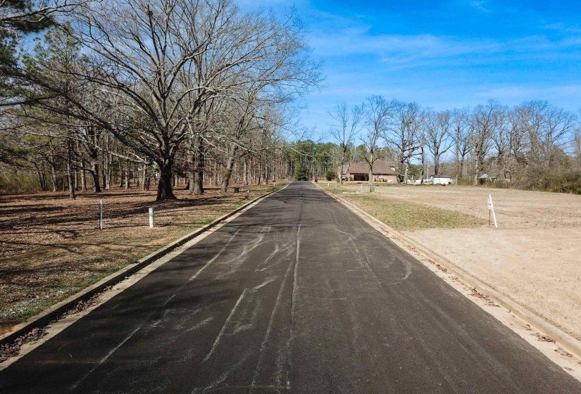 LOT 16 NORTHTOWNE DR, Corinth, Mississippi 38834, ,Land,For Sale,NORTHTOWNE,10168296