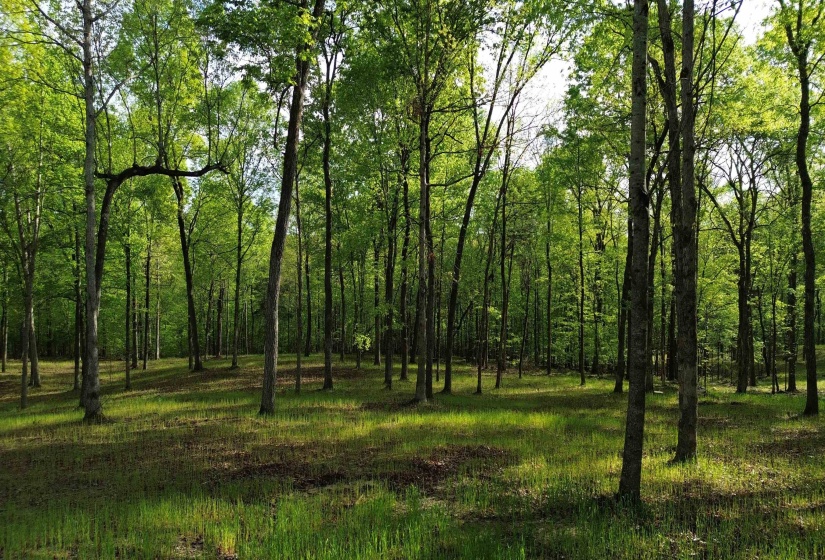 0 KAW-LIGA DR, Bath Springs, Tennessee 38311, ,Land,For Sale,KAW-LIGA,10170536