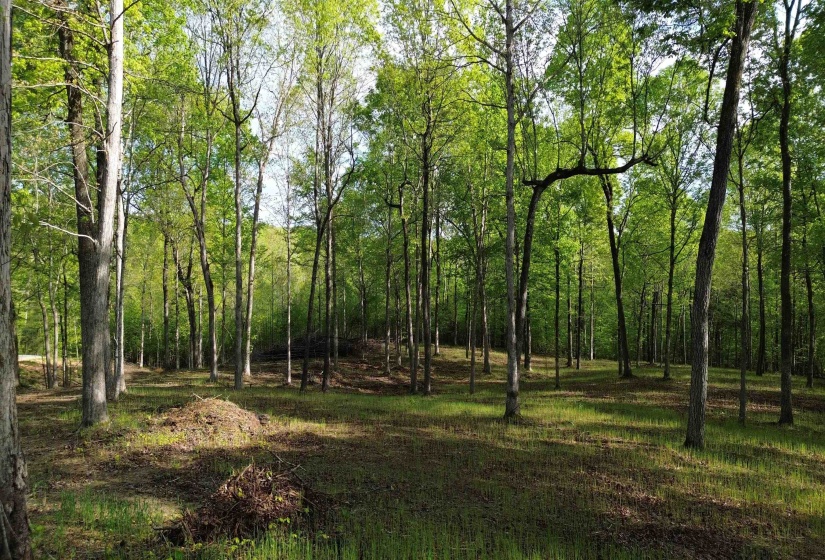0 KAW-LIGA DR, Bath Springs, Tennessee 38311, ,Land,For Sale,KAW-LIGA,10170536
