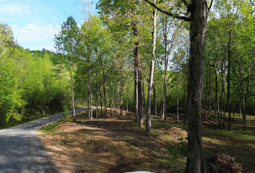 0 KAW-LIGA DR, Bath Springs, Tennessee 38311, ,Land,For Sale,KAW-LIGA,10170536