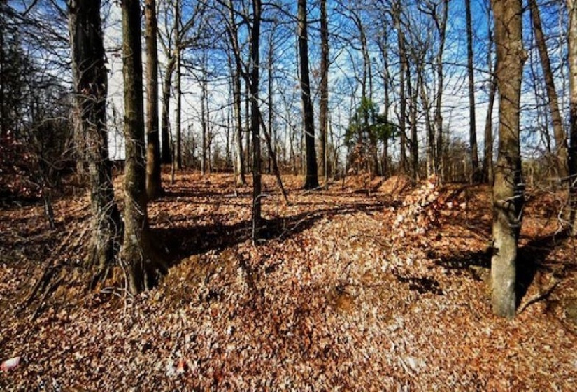3273 GILL RD, Memphis, Tennessee 38109, ,Land,For Sale,GILL,10171149